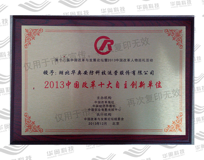 2013中国改革十大自主创新单位