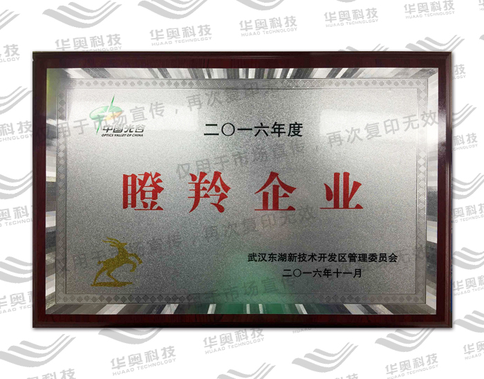 瞪羚企业(2016年度)